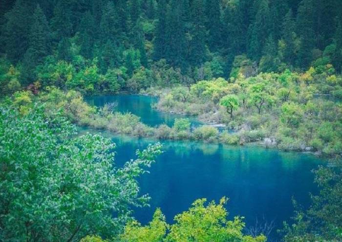 Con 108 lagos coloridos de meseta, el valle de Jiuzhaigou tiene una reputación de mundo de hadas. 
